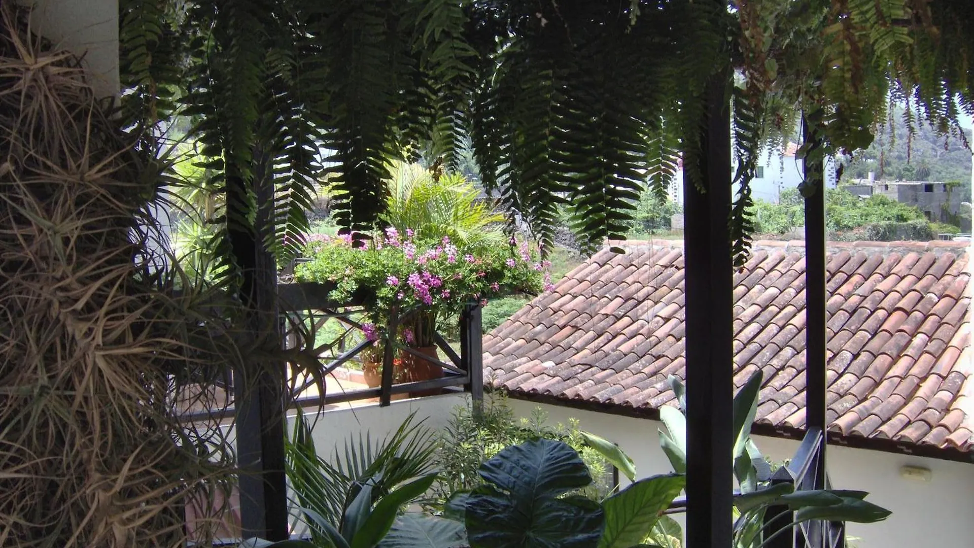 Rustic Apartment With Small Patio-Terrace Icod De Los Vinos Spain