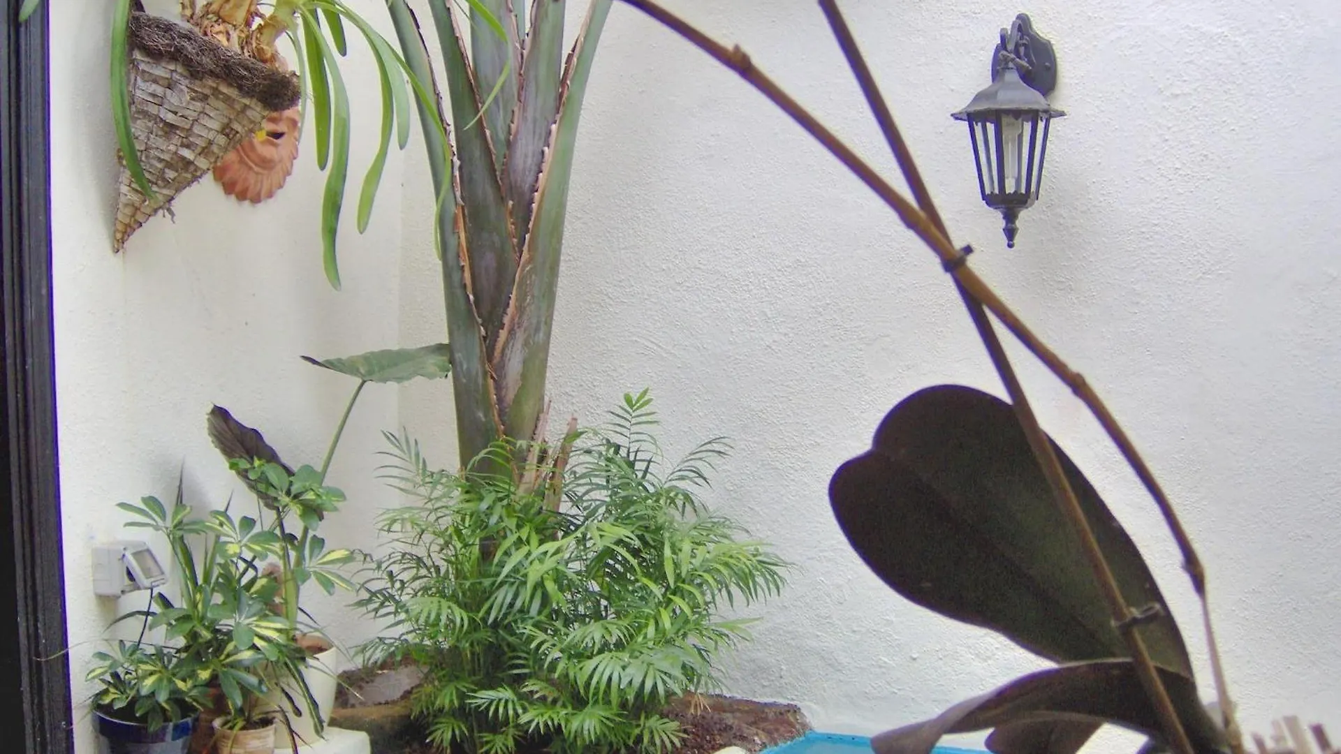 Rustic Holiday Home With Small Patio-Terrace Icod De Los Vinos Apartamento