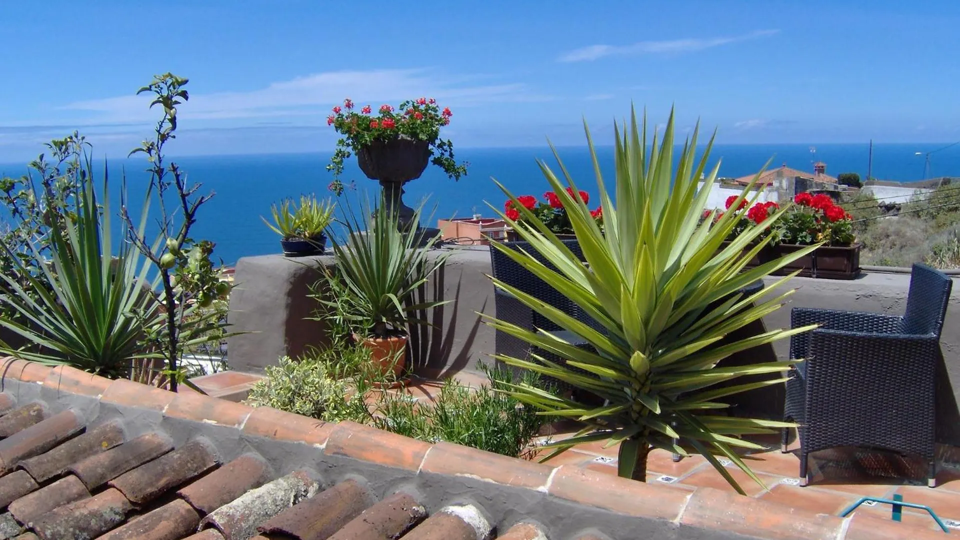 Rustic Apartment With Small Patio-Terrace Icod De Los Vinos