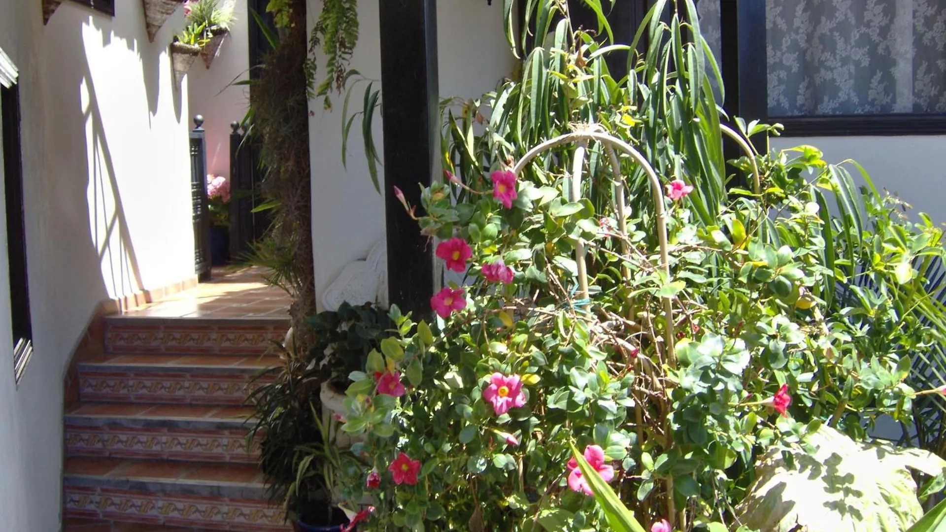 Rustic Apartment With Small Patio-Terrace Icod De Los Vinos 0*,  Spain