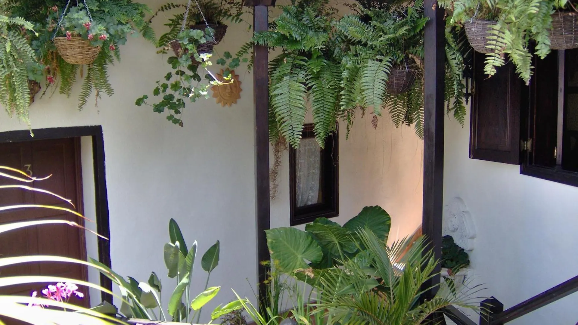 Rustic Apartment With Small Patio-Terrace Icod De Los Vinos Spain