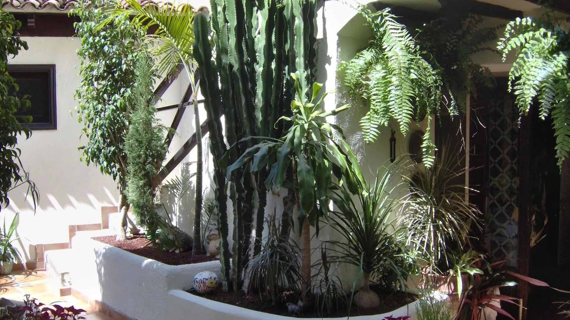 Rustic Apartment With Small Patio-Terrace Icod De Los Vinos
