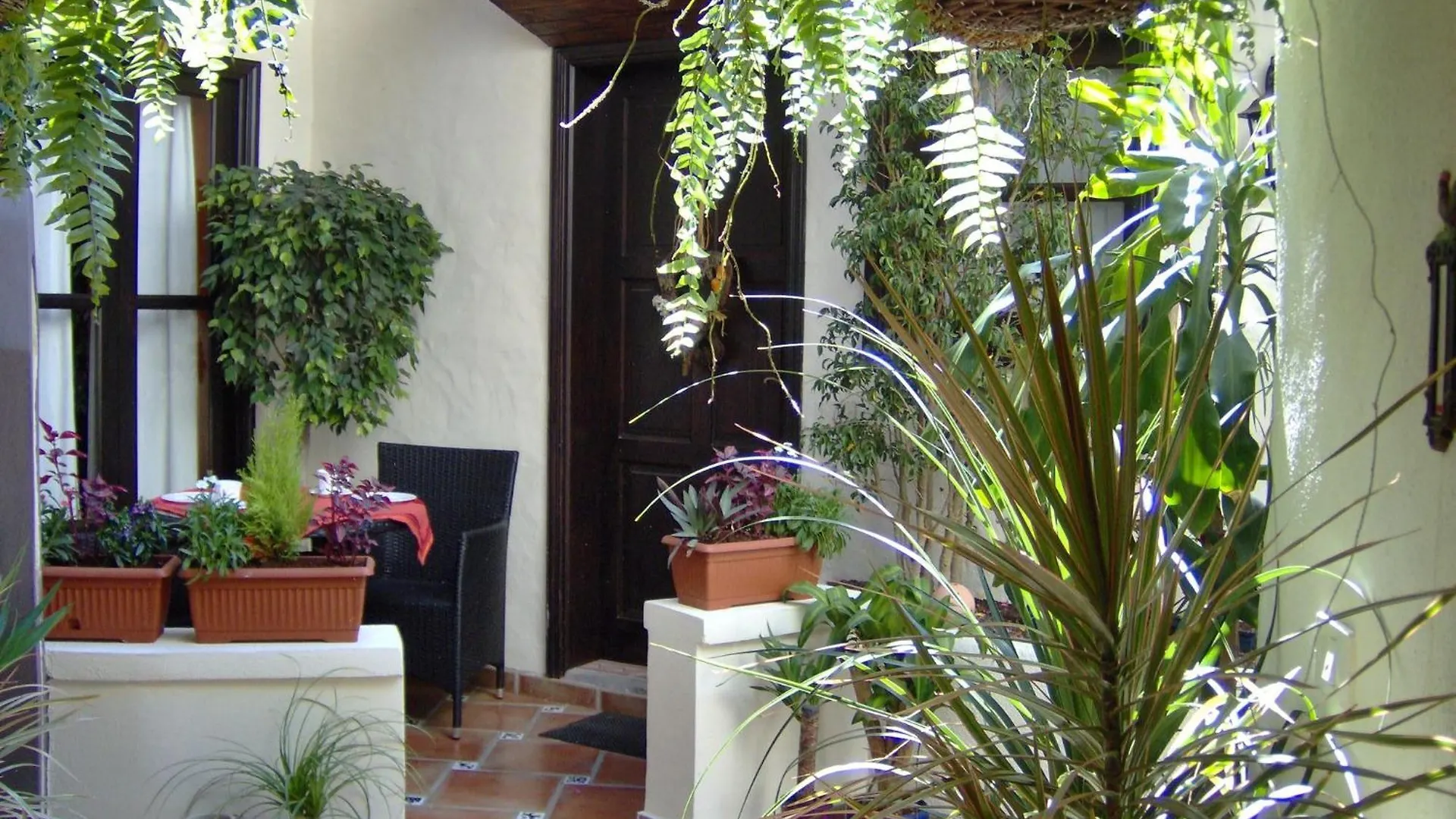 Rustic Apartment With Small Patio-Terrace Icod De Los Vinos Spain