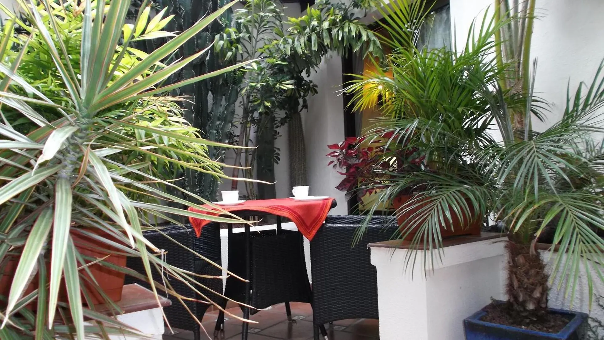 Rustic Apartment With Small Patio-Terrace Icod De Los Vinos