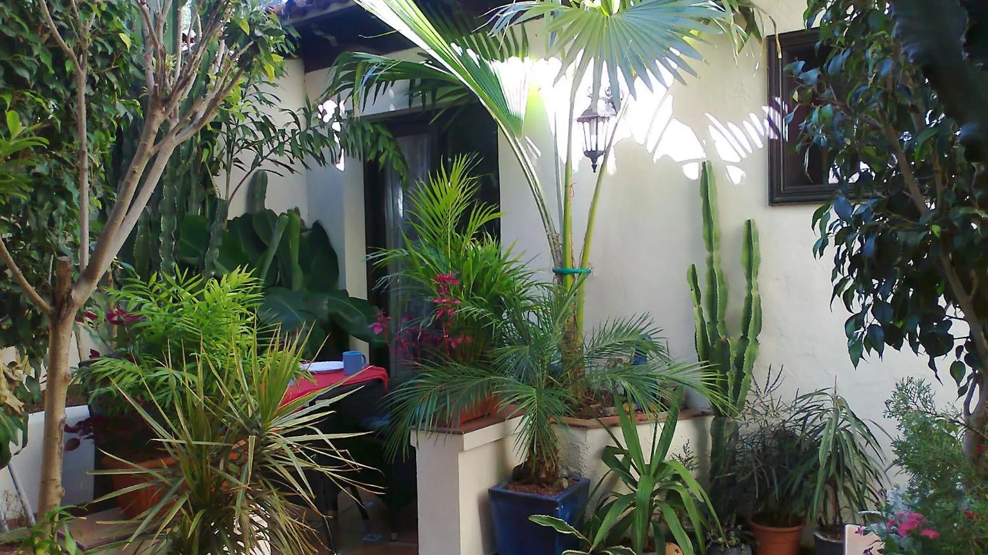Rustic Apartment With Small Patio-Terrace Icod De Los Vinos